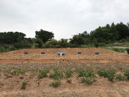 놀뫼장의사 PC 이미지 5575384