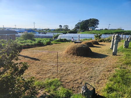 놀뫼장의사 PC 이미지 5575385