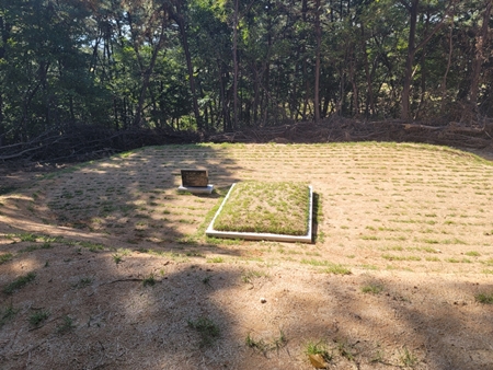 놀뫼장의사 PC 이미지 5575387