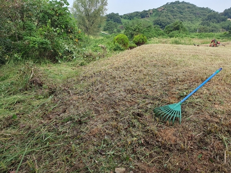 놀뫼장의사 PC 이미지 5575389