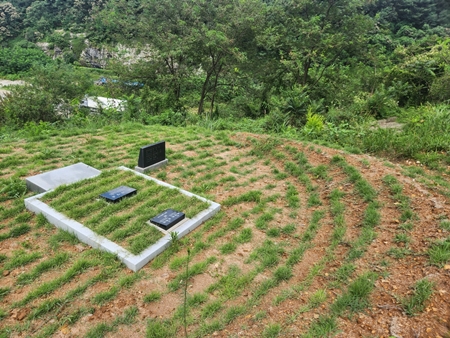 놀뫼장의사 PC 이미지 5575390