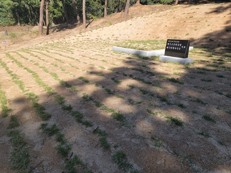 놀뫼장의사 PC 이미지 5575394