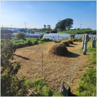 홍성묘지관리-5575385