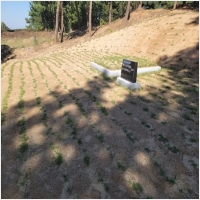 홍성묘지관리-5575388