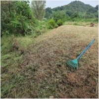 홍성묘지관리-5575389