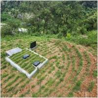 홍성묘지관리-5575390