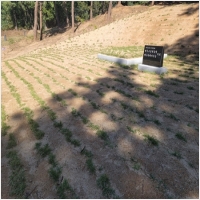 홍성묘지관리-5575394